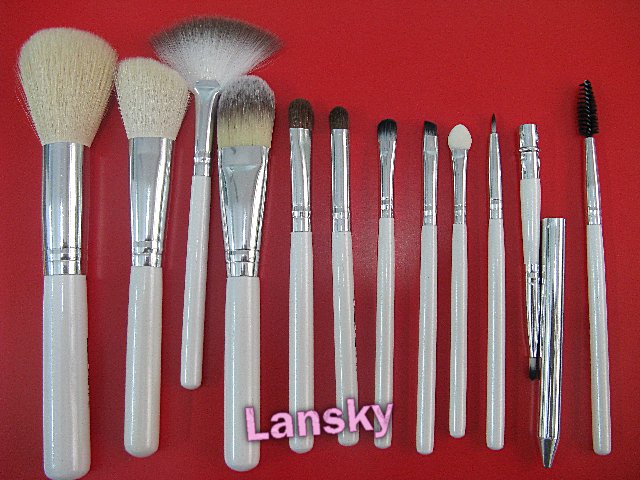 Cosmetic brush set21001
