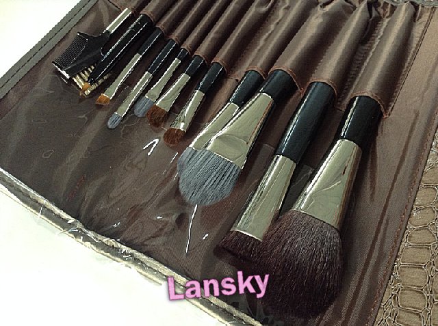 Cosmetic brush set21015