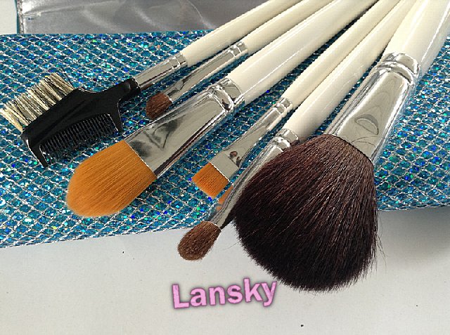 Cosmetic brush set21016