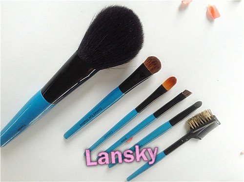Cosmetic brush set21005