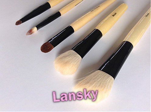 Cosmetic brush set21006