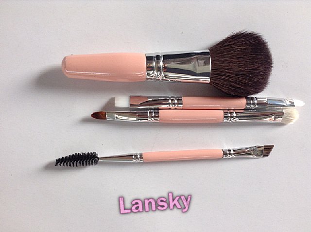 Cosmetic brush set21008