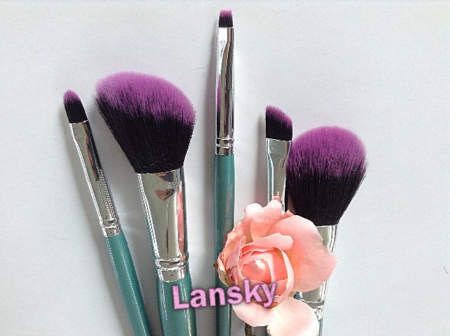 Cosmetic brush set21011