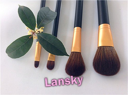 Cosmetic brush set21012