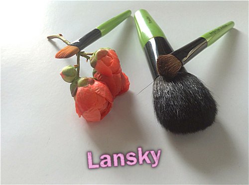 Cosmetic brush set21019