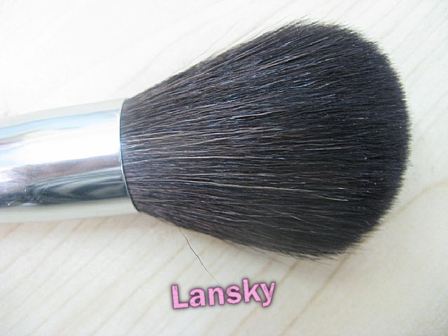 Cosmetic brush11006